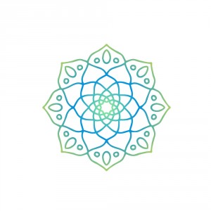 mandala coche